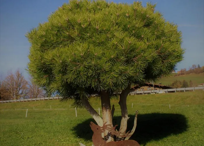 Κατάλυμα σε φάρμα Steger Mittersill